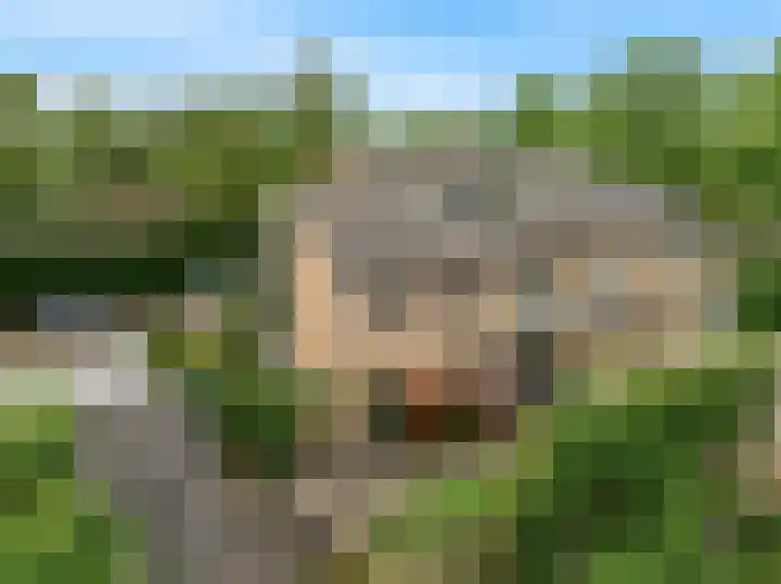 Kerkakkers 79 Heiloo thumbnail 47