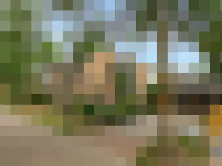 Kerkakkers 79 Heiloo thumbnail 48