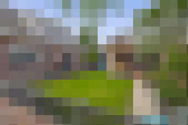 Kerkakkers 8 Nuenen thumbnail 31