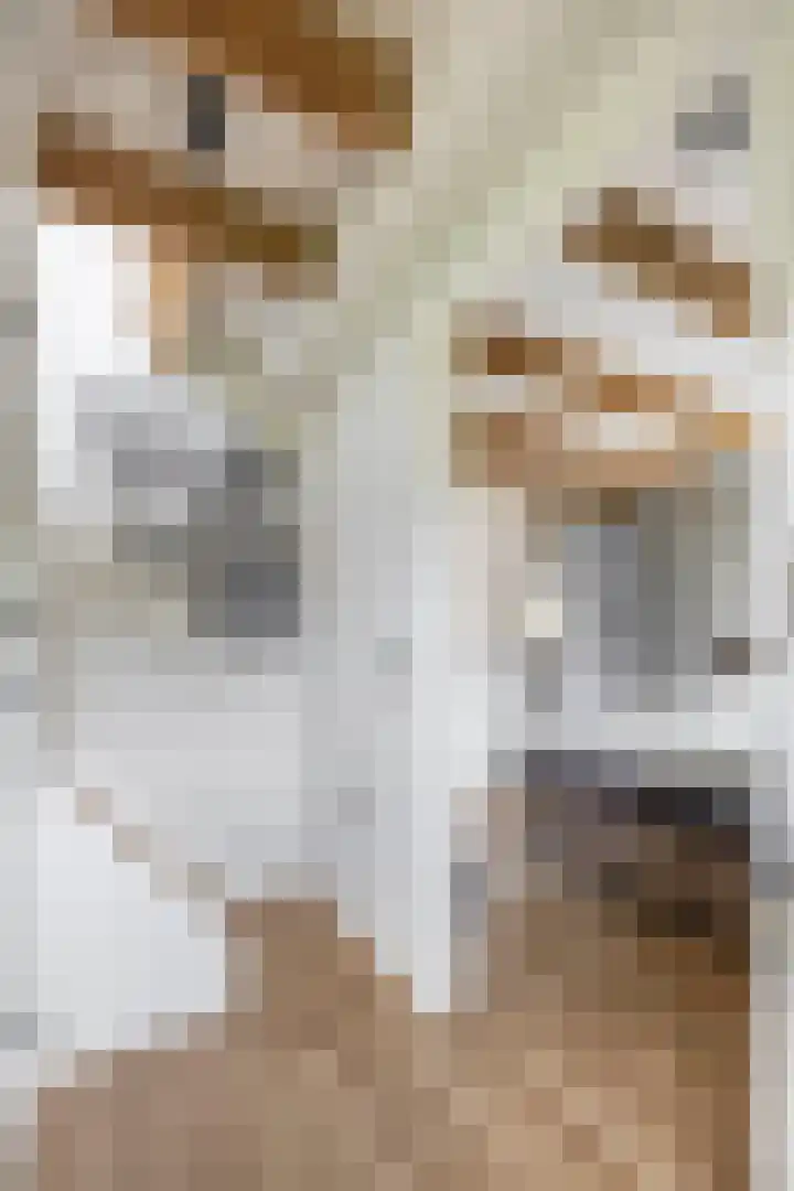 Kerkakkers 8 Nuenen thumbnail 36