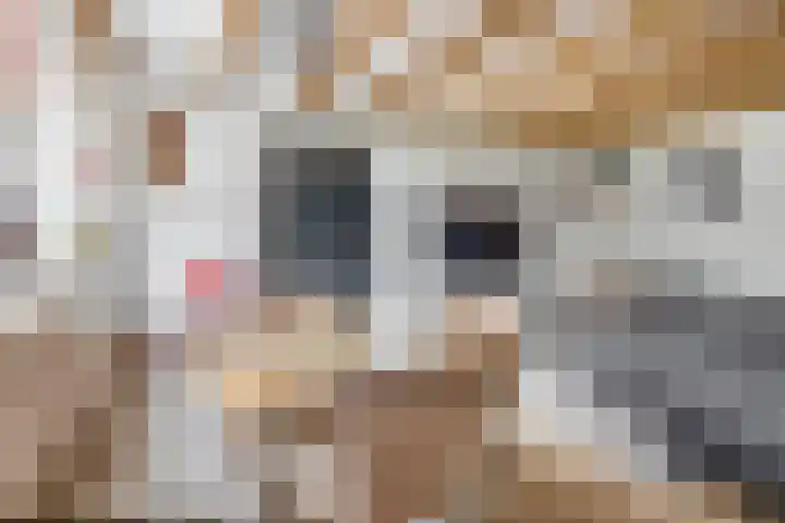Kerkakkers 8 Nuenen thumbnail 40