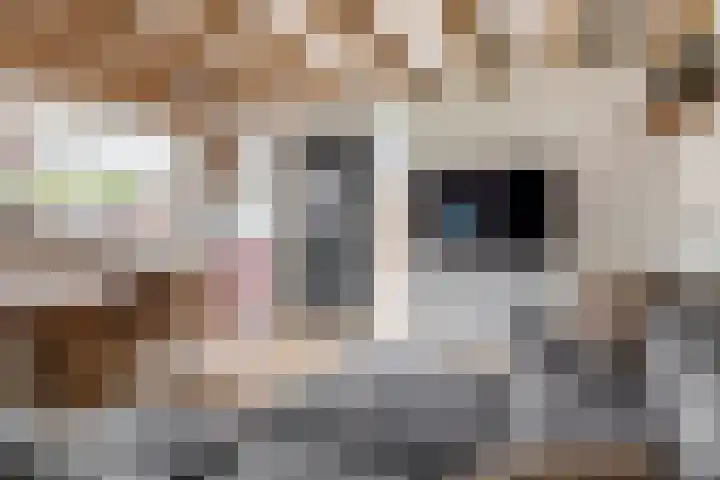 Kerkakkers 8 Nuenen thumbnail 41