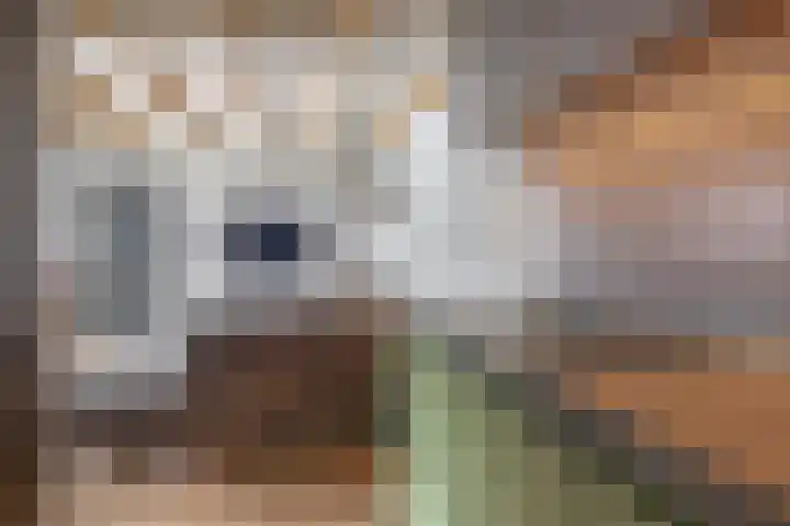 Kerkakkers 8 Nuenen thumbnail 47