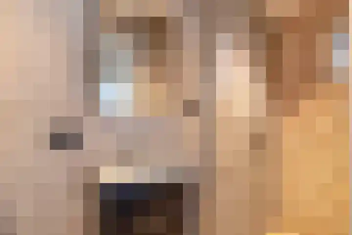 Kerkakkers 8 Nuenen thumbnail 50