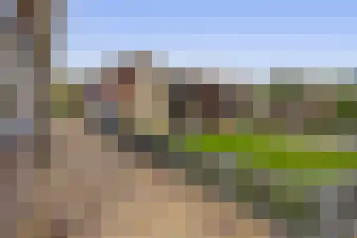 Kerkakkers 8 Nuenen thumbnail 60