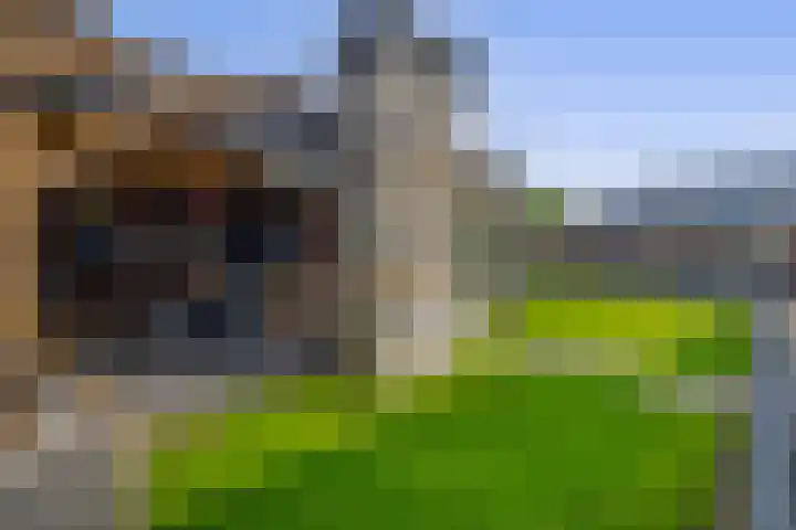 Kerkakkers 8 Nuenen thumbnail 65