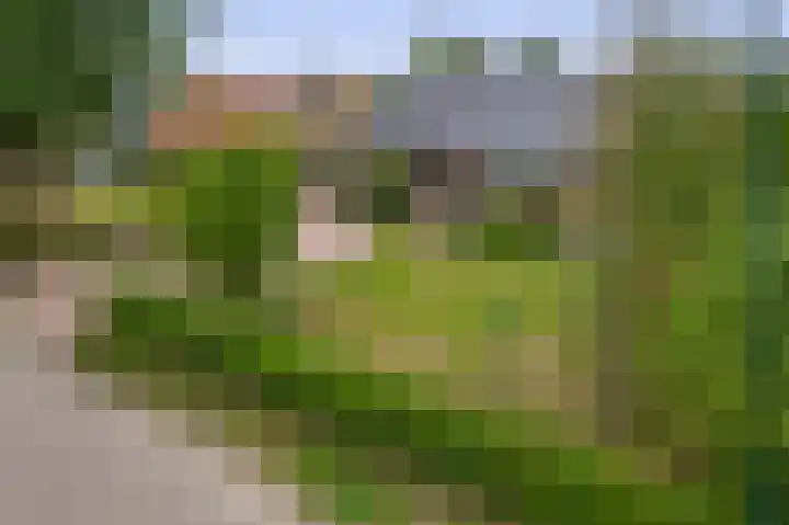 Kerkakkers 8 Nuenen thumbnail 7