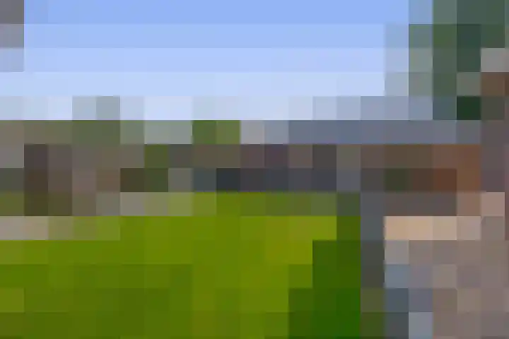 Kerkakkers 8 Nuenen thumbnail 70