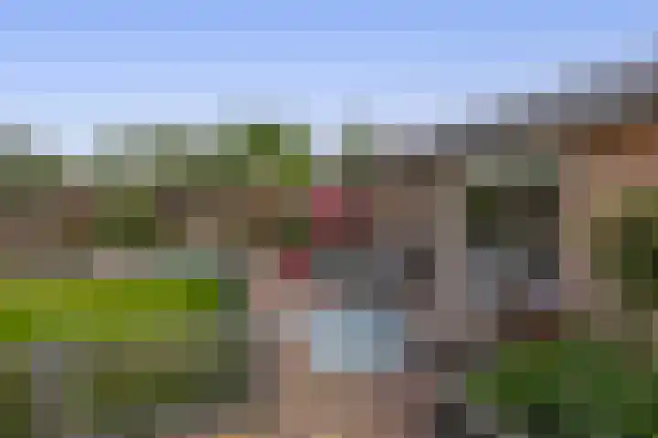Kerkakkers 8 Nuenen thumbnail 72