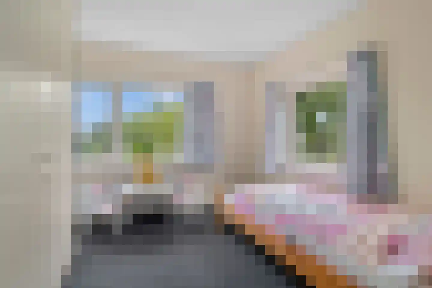 Kerkakkers 81 Heiloo thumbnail 29