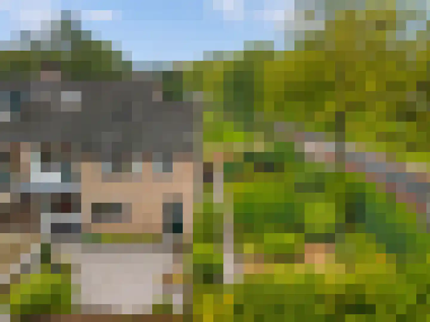 Kerkakkers 81 Heiloo thumbnail 38