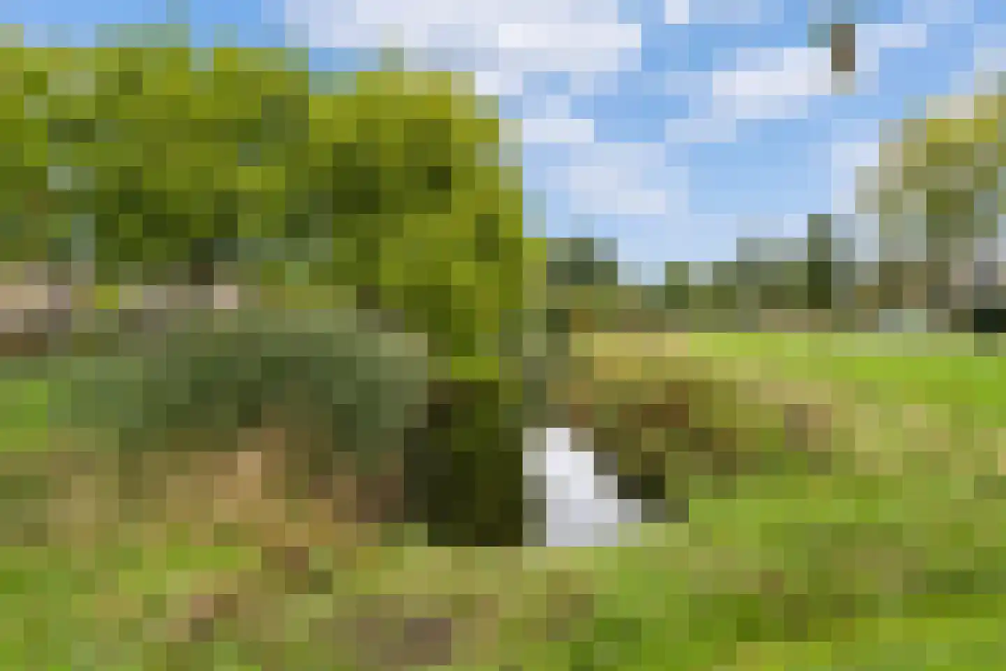 Kerkakkers 81 Heiloo thumbnail 52