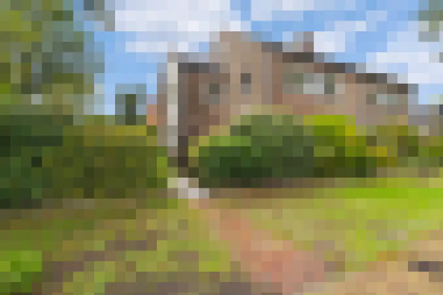 Kerkakkers 81 Heiloo thumbnail 8