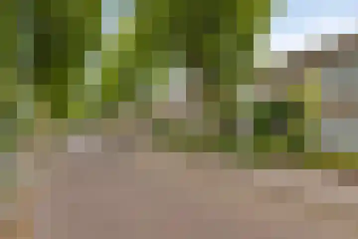 Kerkakkerstraat 10 Veldhoven thumbnail 31