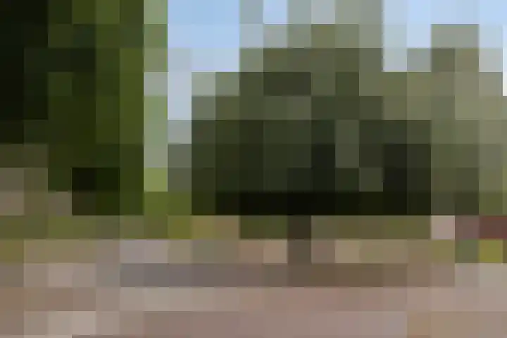 Kerkakkerstraat 10 Veldhoven thumbnail 32
