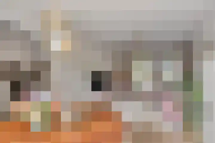 Kerkakkerstraat 10 Veldhoven thumbnail 8