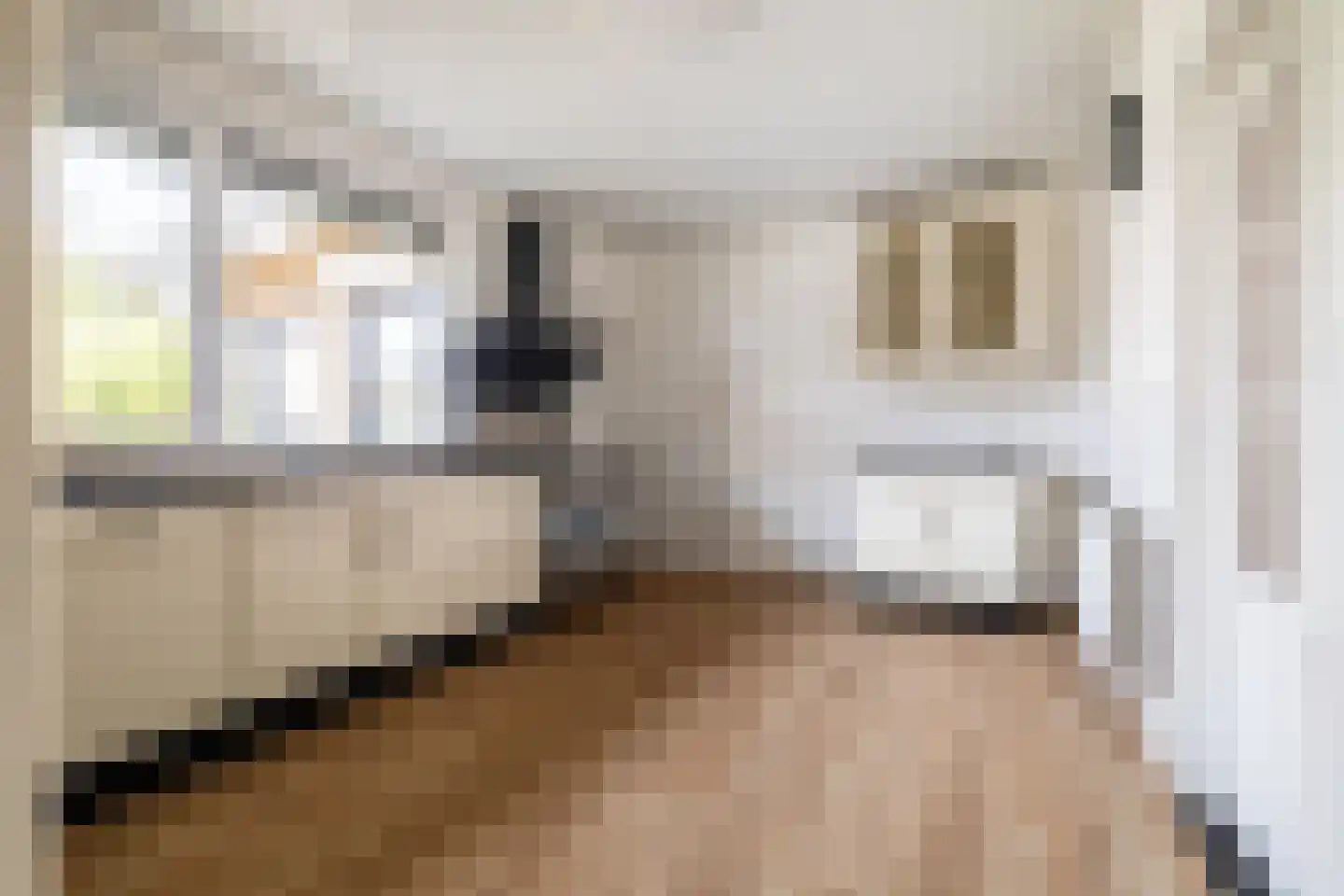 Kerkakkerstraat 12 a Rijsbergen thumbnail 18