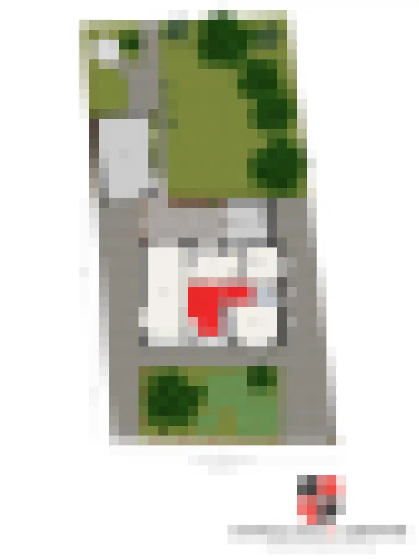 Kerkakkerstraat 12 a Rijsbergen thumbnail 47