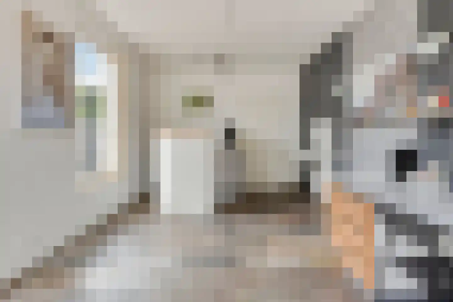 Kerkakkerstraat 25 Valkenswaard thumbnail 19