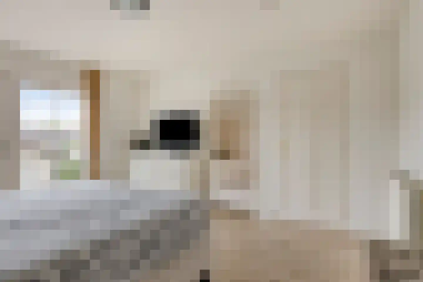 Kerkakkerstraat 25 Valkenswaard thumbnail 25