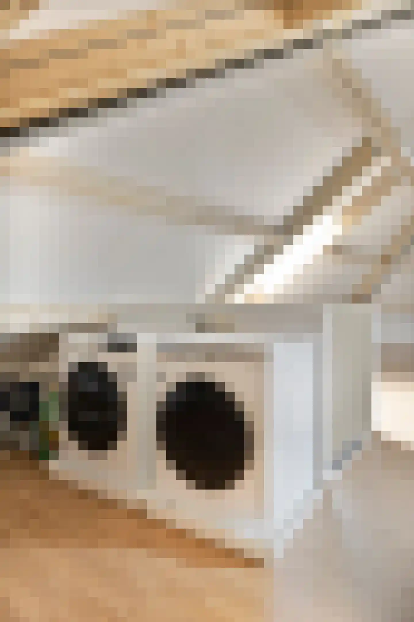 Kerkakkerstraat 25 Valkenswaard thumbnail 32