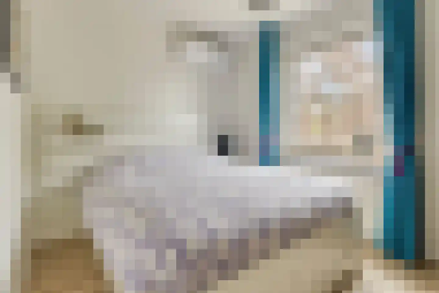 Kerkakkerstraat 25 Valkenswaard thumbnail 34