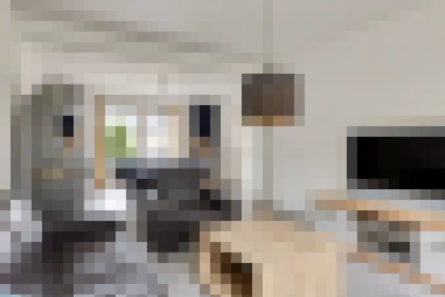 Kerkakkerstraat 25 Valkenswaard thumbnail 41