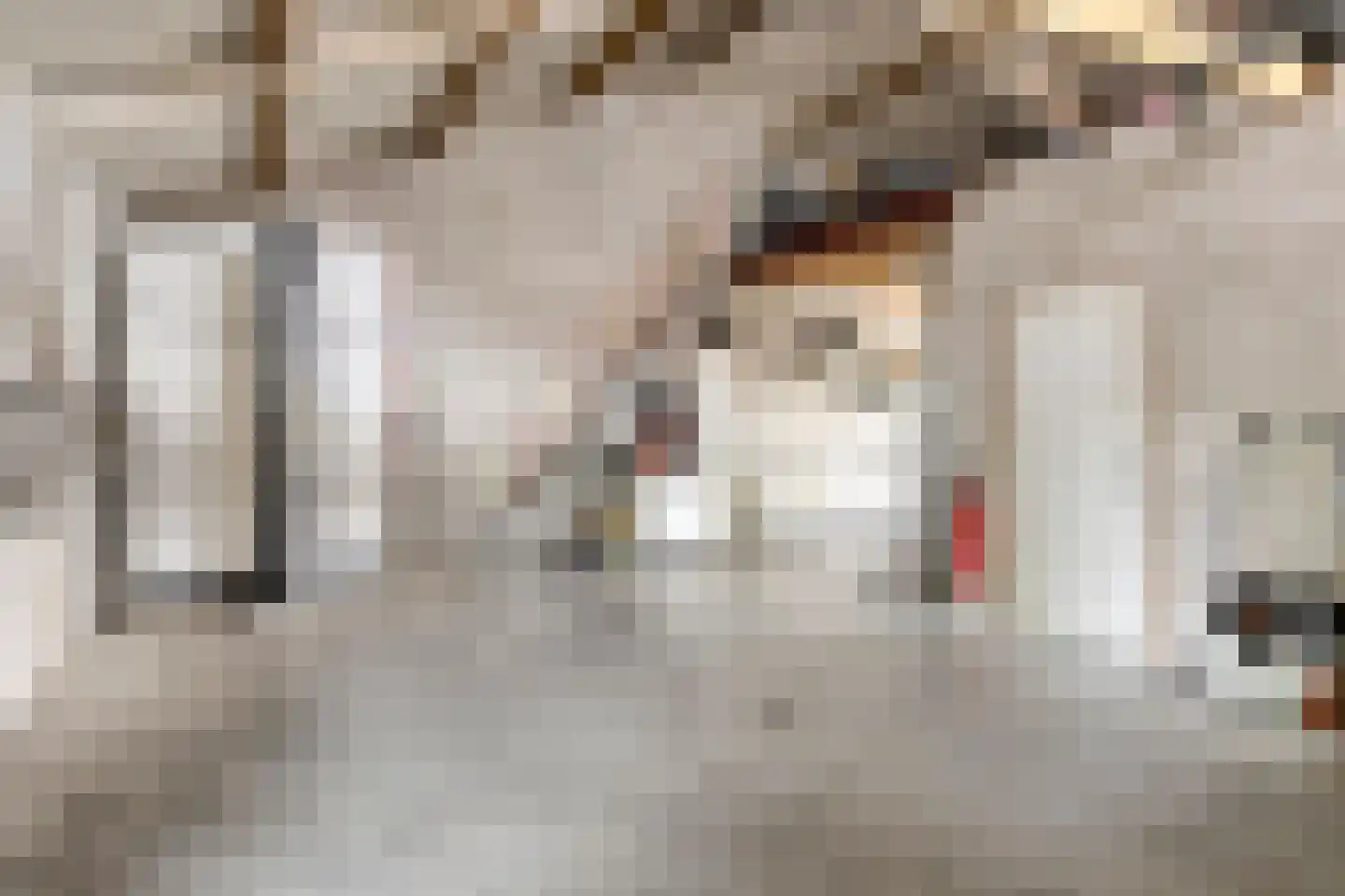 Kerkakkerstraat 25 Valkenswaard thumbnail 61
