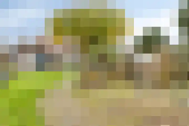 Kerkakkerstraat 27 Veldhoven thumbnail 33