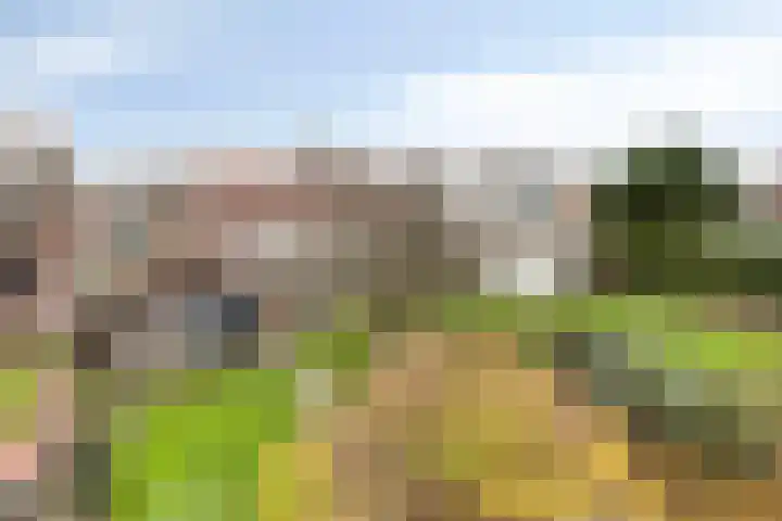 Kerkakkerstraat 27 Veldhoven thumbnail 34