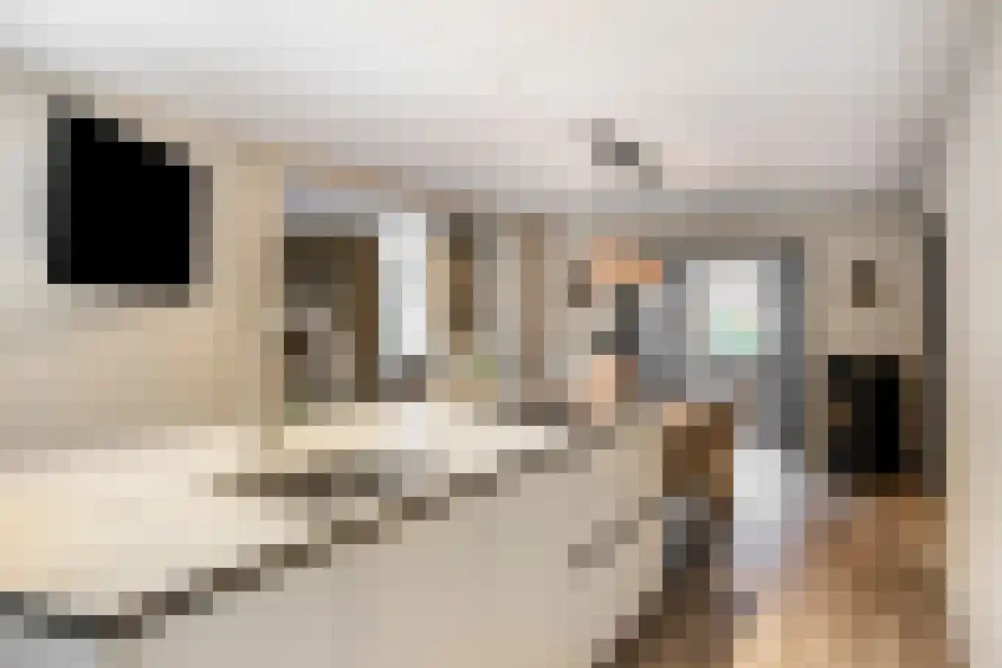 Kerkakkerstraat 32 Valkenswaard thumbnail 15