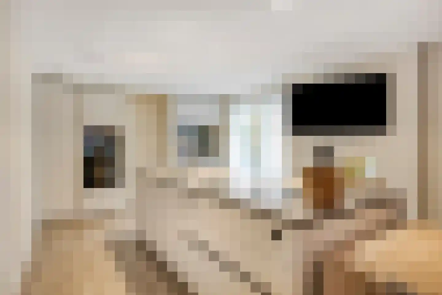 Kerkakkerstraat 32 Valkenswaard thumbnail 16