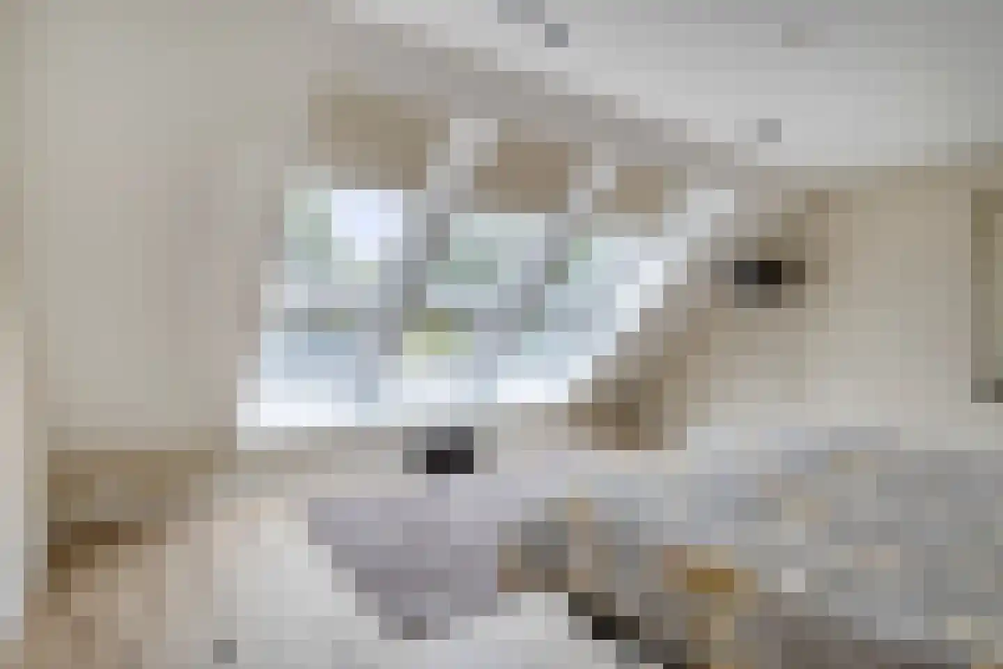 Kerkakkerstraat 32 Valkenswaard thumbnail 30