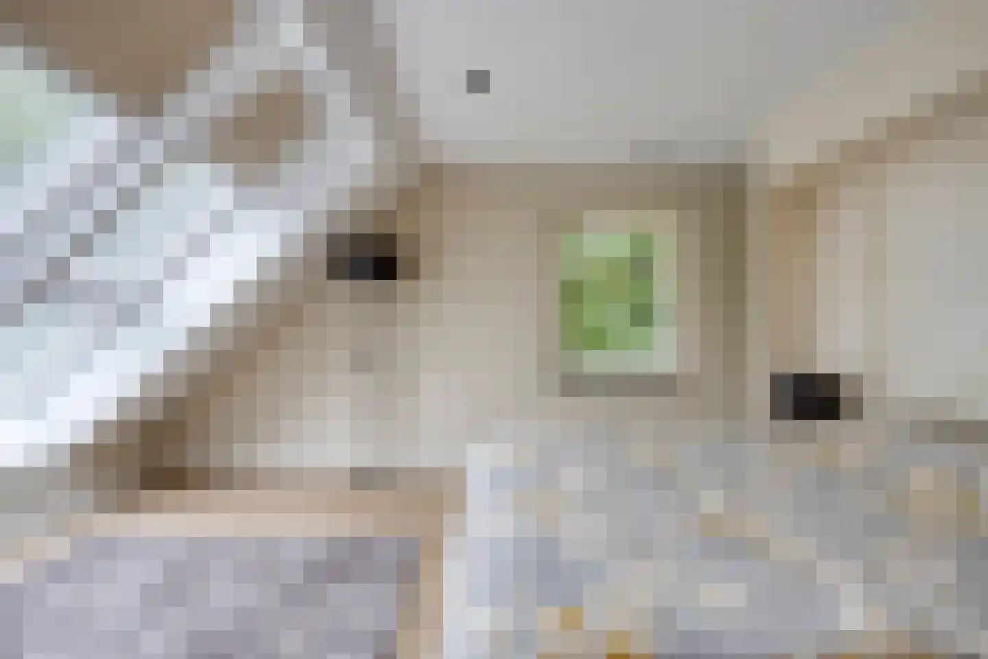 Kerkakkerstraat 32 Valkenswaard thumbnail 32