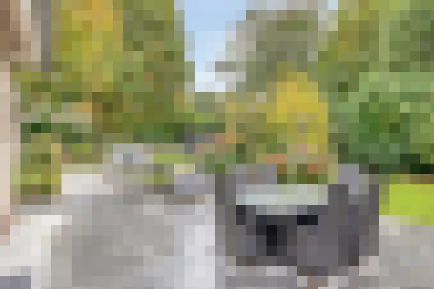 Kerkakkerstraat 32 Valkenswaard thumbnail 42