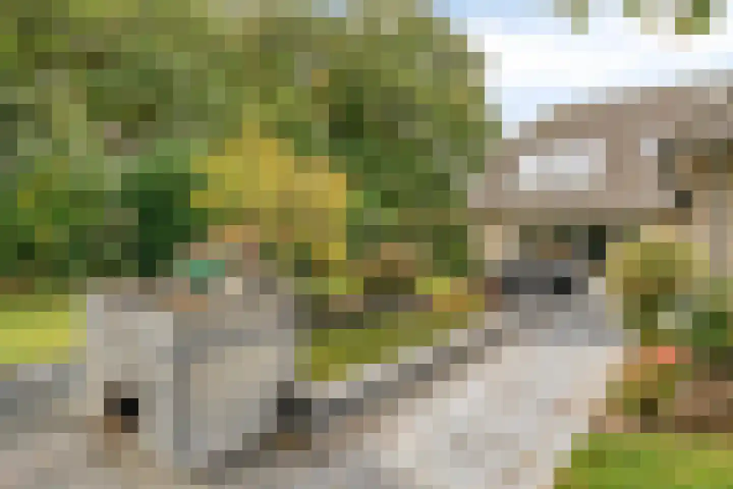 Kerkakkerstraat 32 Valkenswaard thumbnail 46