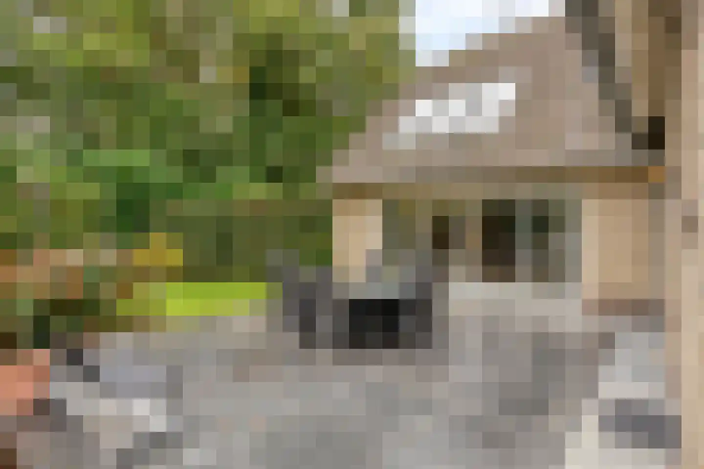 Kerkakkerstraat 32 Valkenswaard thumbnail 50