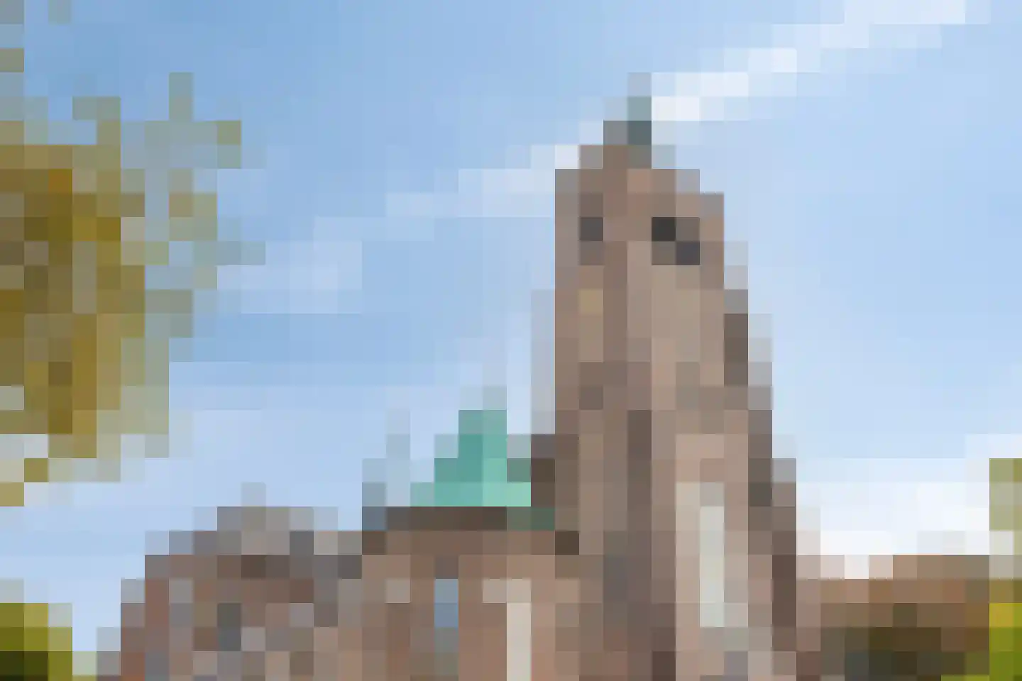 Kerkakkerstraat 4 A Eindhoven thumbnail 31