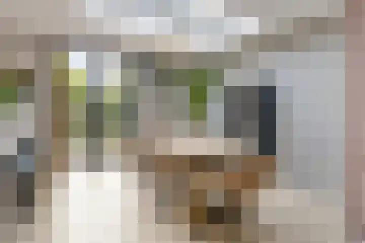Kerkakkerstraat 43 A Eindhoven thumbnail 13
