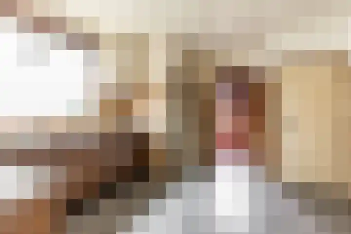 Kerkakkerstraat 52 Rijsbergen thumbnail 12
