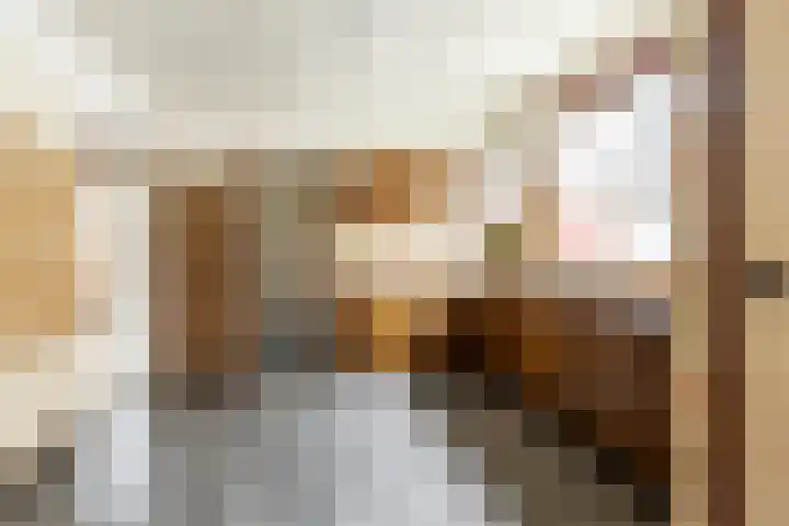 Kerkakkerstraat 52 Rijsbergen thumbnail 13
