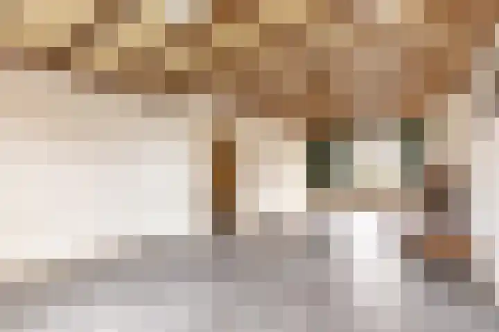 Kerkakkerstraat 52 Rijsbergen thumbnail 15