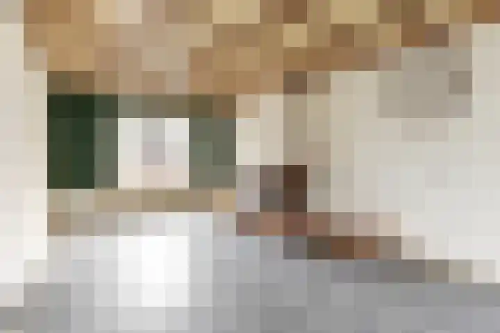 Kerkakkerstraat 52 Rijsbergen thumbnail 16