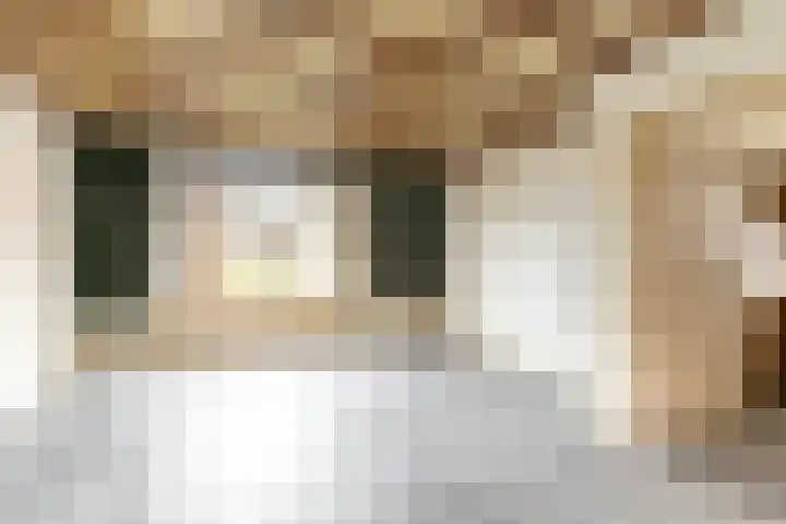 Kerkakkerstraat 52 Rijsbergen thumbnail 18