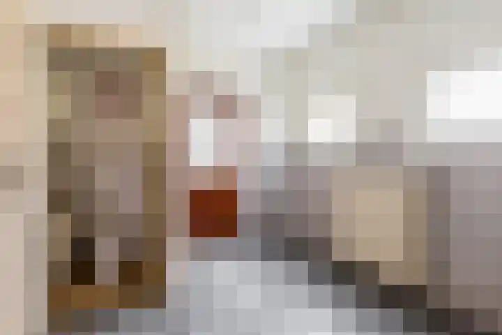 Kerkakkerstraat 52 Rijsbergen thumbnail 19