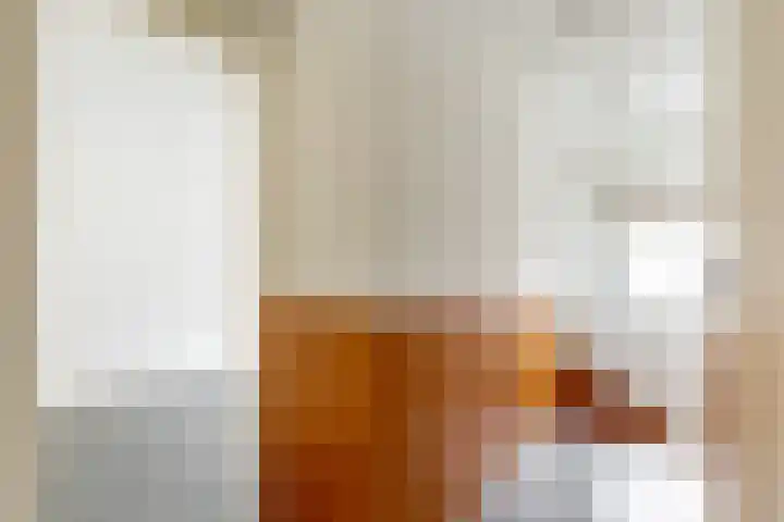 Kerkakkerstraat 52 Rijsbergen thumbnail 21