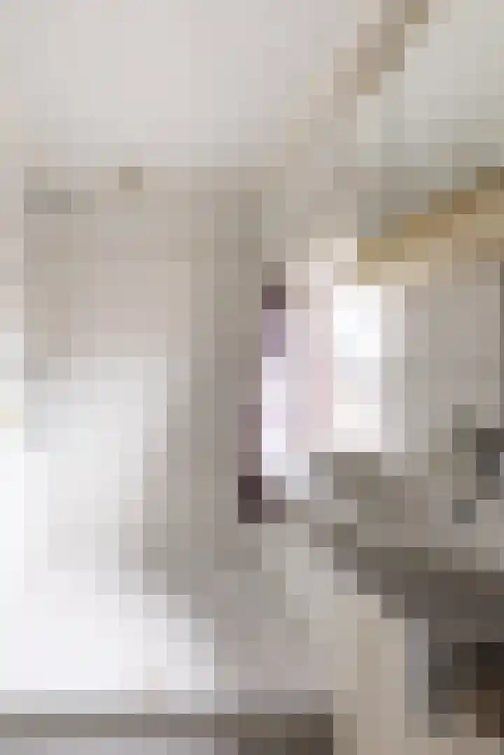 Kerkakkerstraat 52 Rijsbergen thumbnail 25