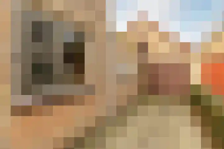 Kerkakkerstraat 52 Rijsbergen thumbnail 28