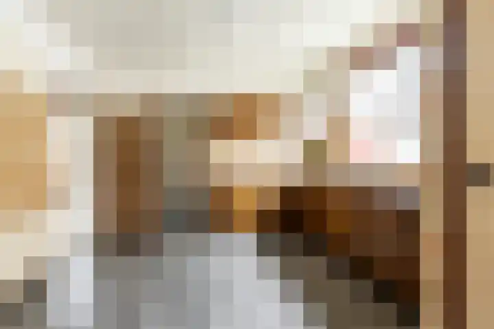 Kerkakkerstraat 52 Rijsbergen thumbnail 4