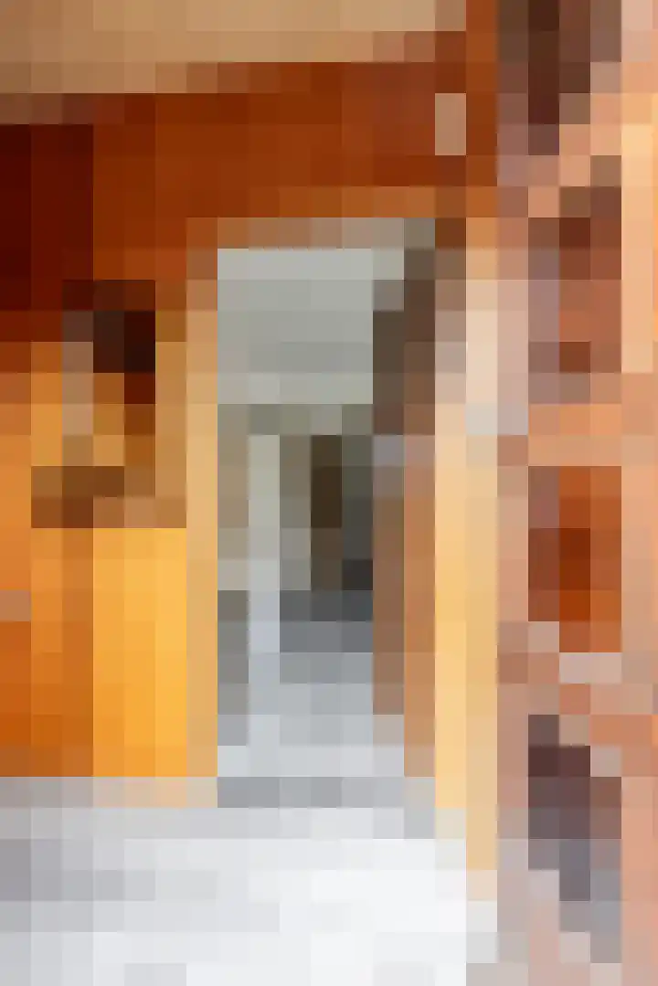 Kerkakkerstraat 52 Rijsbergen thumbnail 8